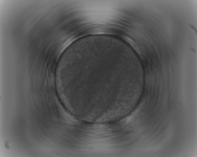 X0000097501465200803142009