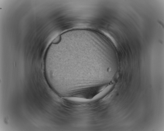 X0000097501467200803142009