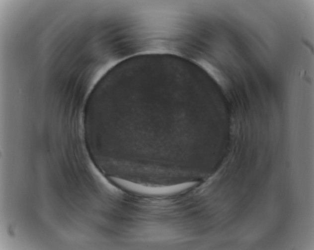 X0000097501468200803142008