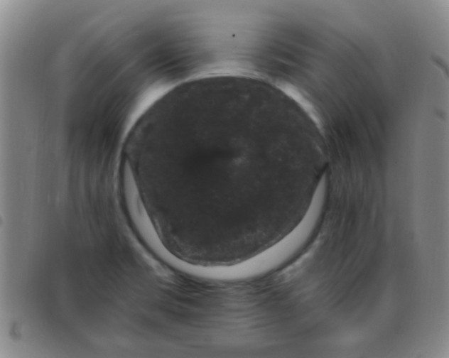 X0000097501469200803142008