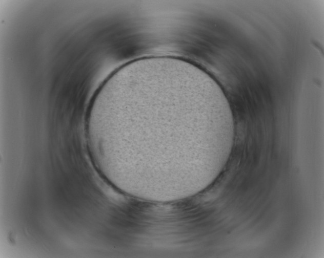 X0000097501470200803142008