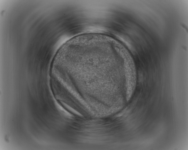 X0000097501471200803142008