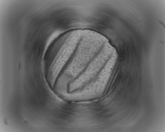 X0000097501472200803142008