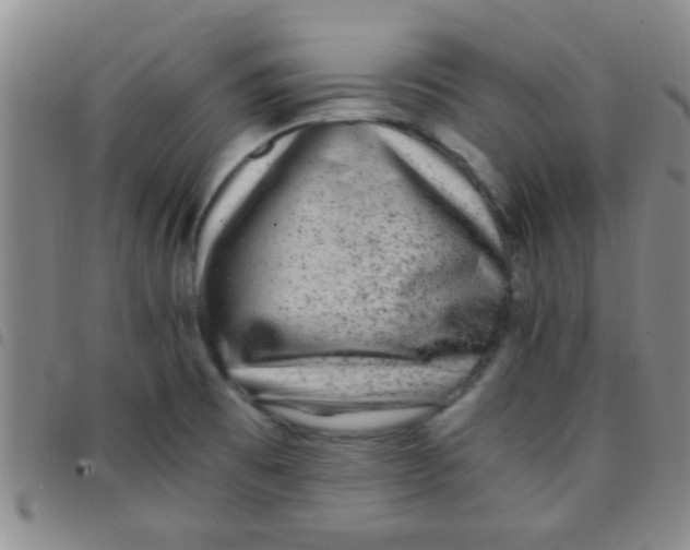 X0000097501473200803142008