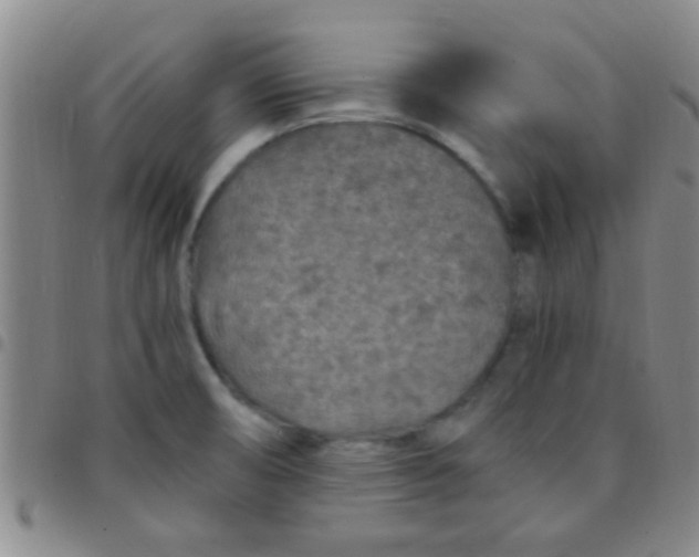 X0000097501474200803142008