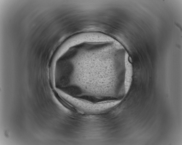 X0000097501476200803142008