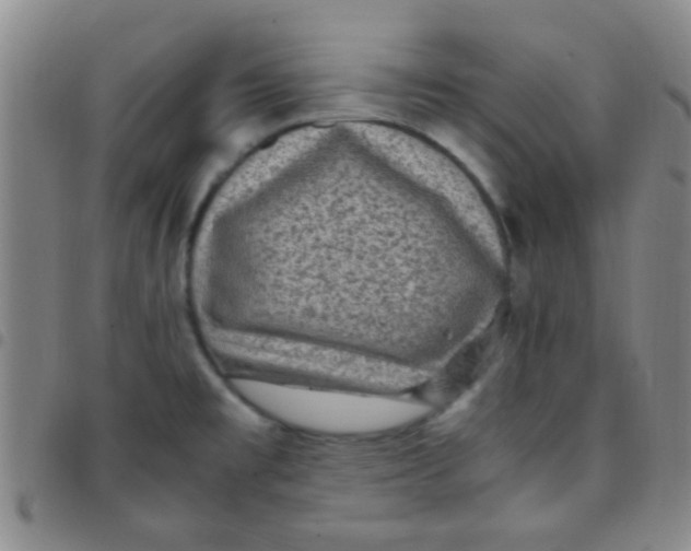 X0000097501477200803142008