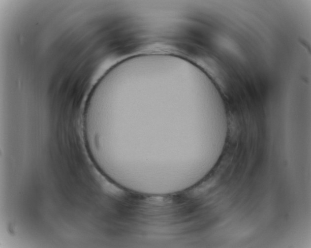 X0000097501478200803142008