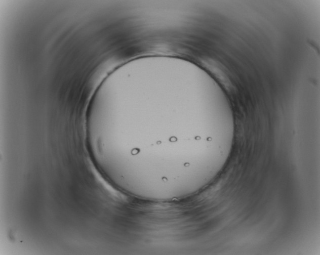 X0000097501479200803142008