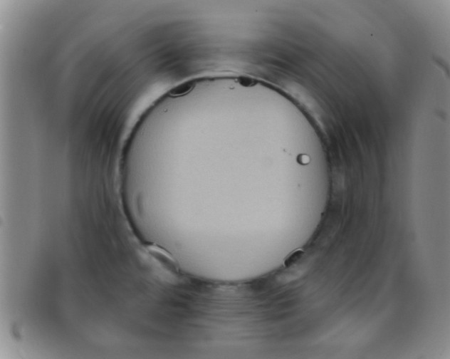 X0000097501480200803142008