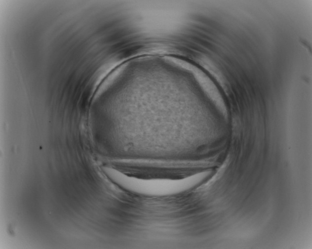 X0000097501481200803142008