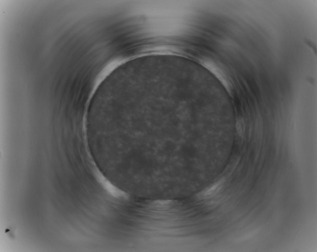 X0000097501482200803142008