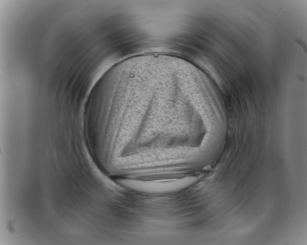 X0000097501483200803142008