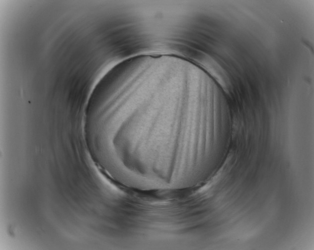 X0000097501484200803142008