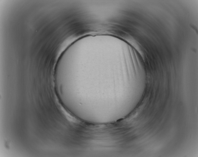 X0000097501485200803142008