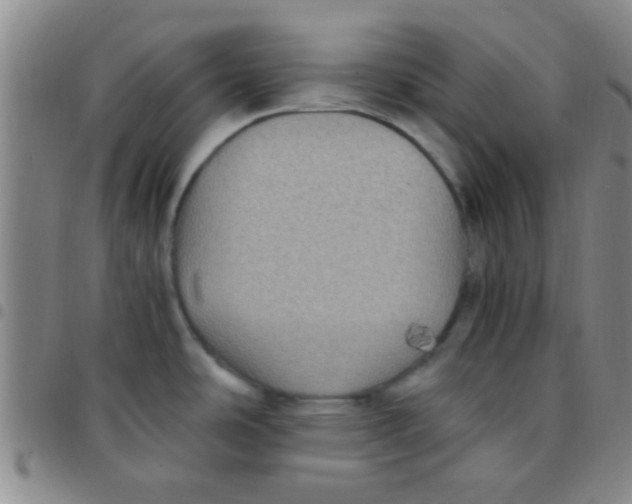 X0000097501486200803142008