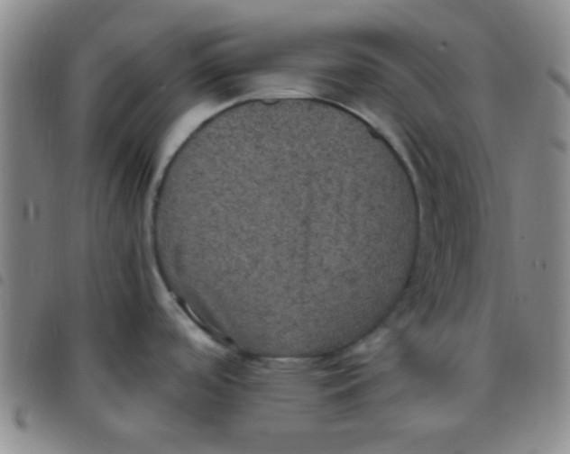 X0000097501488200803142008