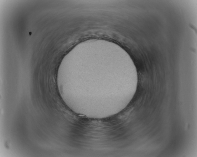 X0000097501489200803142007