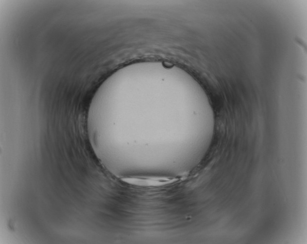 X0000097501490200803142007