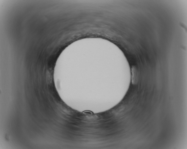 X0000097501491200803142007