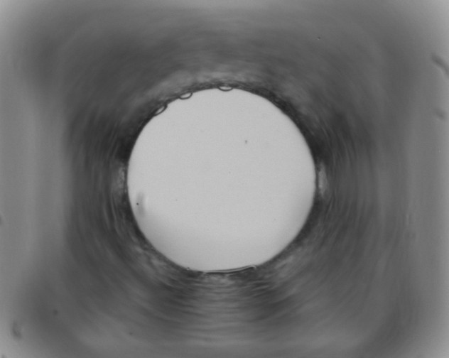 X0000097501492200803142007