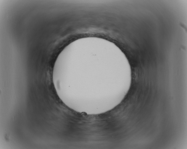 X0000097501493200803142007