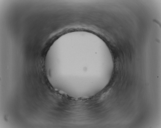 X0000097501494200803142007