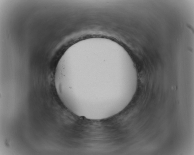 X0000097501495200803142007