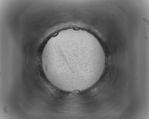 X0000097501496200803142007