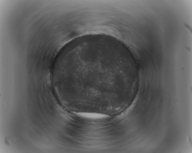 X0000097501497200803142008