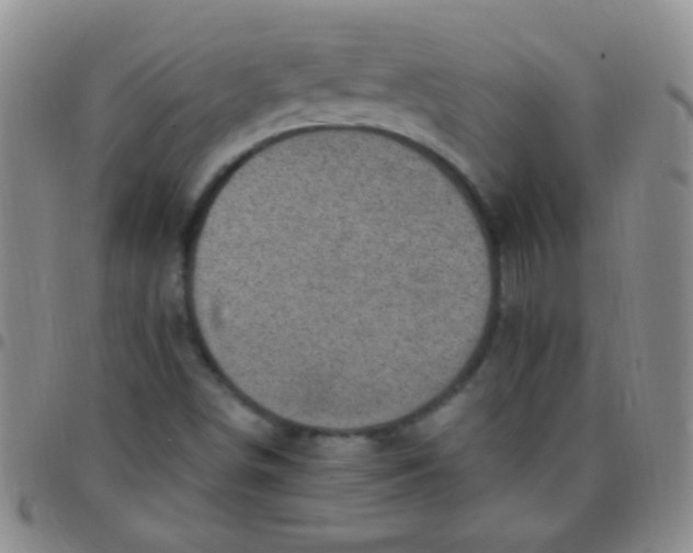 X0000097501498200803142008