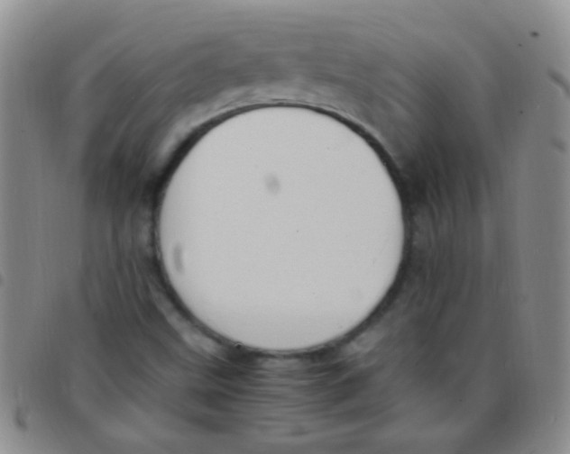 X0000097501499200803142008