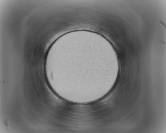 X0000097501500200803142008