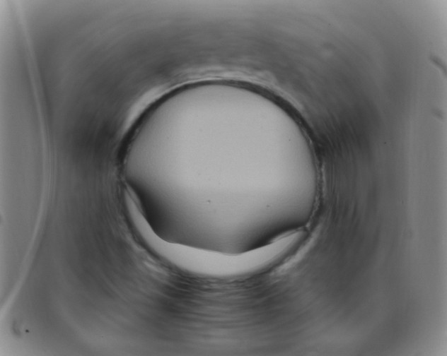 X0000097501501200803142008