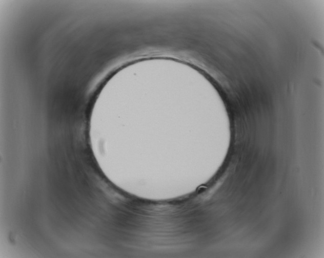 X0000097501502200803142008