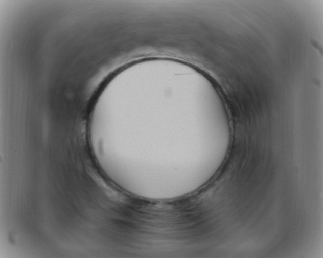 X0000097501503200803142008