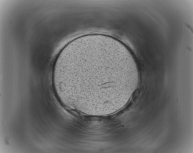 X0000097501504200803142008