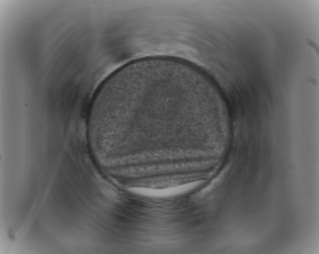 X0000097501505200803142008