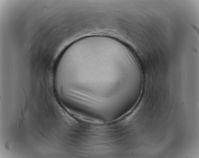 X0000097501506200803142008