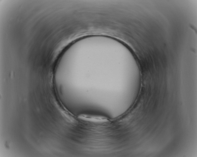 X0000097501507200803142008