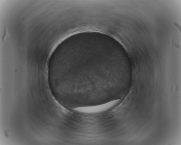 X0000097501508200803142008