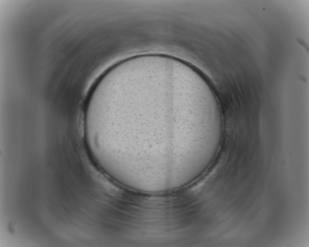 X0000097501510200803142008