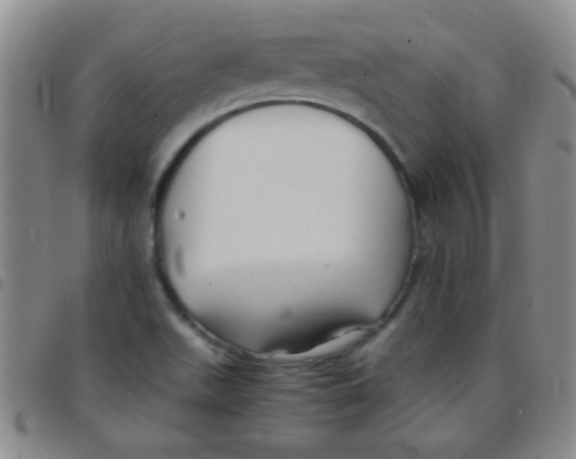 X0000097501511200803142008