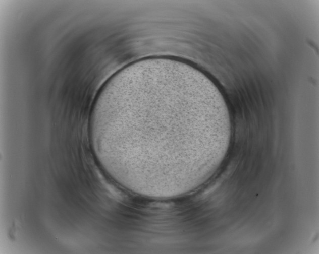 X0000097501513200803142008