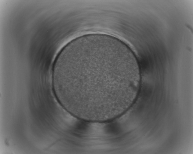 X0000097501514200803142008