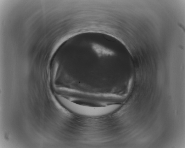 X0000097501515200803142008