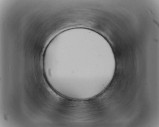 X0000097501516200803142008