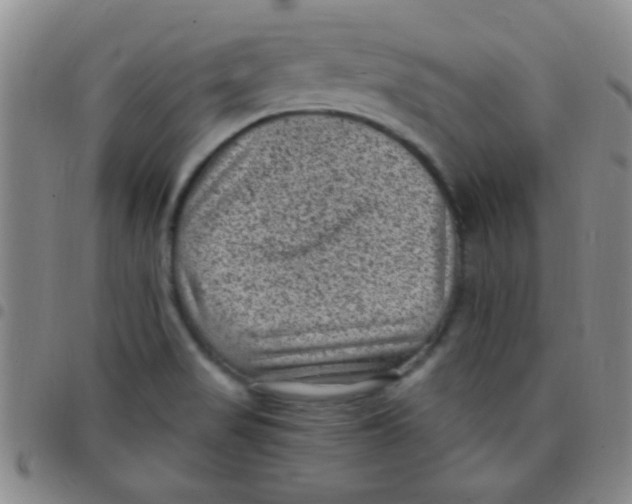 X0000097501517200803142008