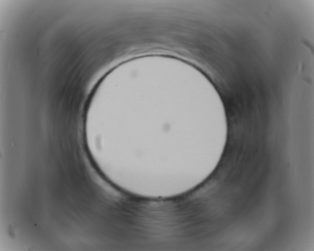 X0000097501518200803142008