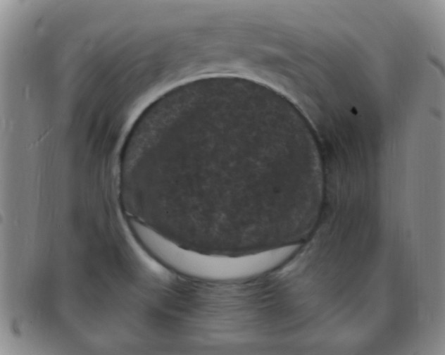 X0000097501519200803142008